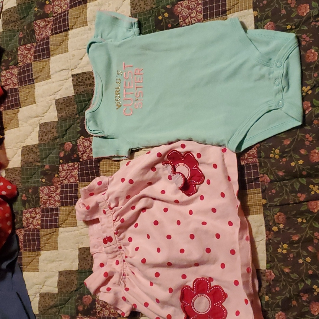 6m Carters